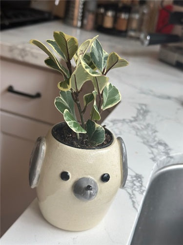 Pep Pot