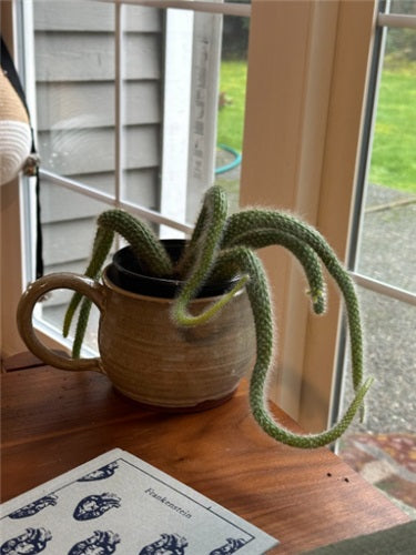 Mug Planter